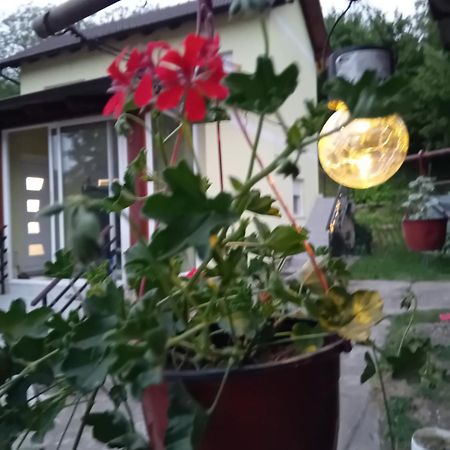 Lux Snezana Vrdnik Exterior foto