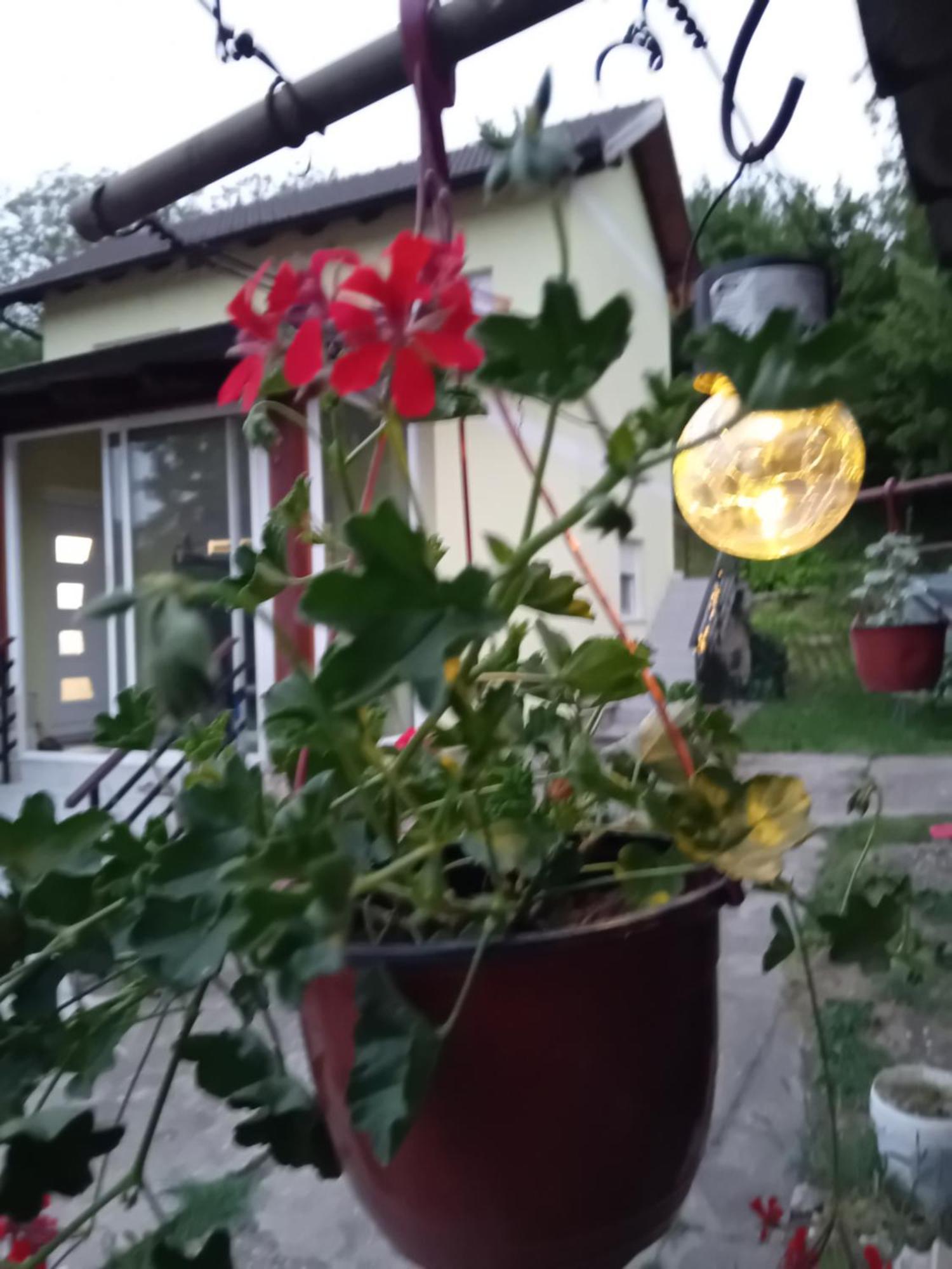Lux Snezana Vrdnik Exterior foto